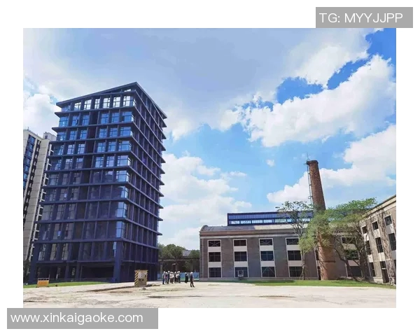 杭州篮球队的华丽转身亚运会背后的奋斗与荣耀之路