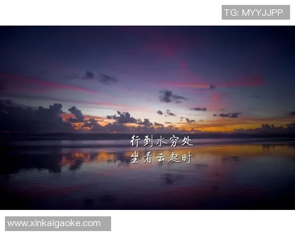 深度对话赵芳排球人生的奋斗与梦想探索之旅